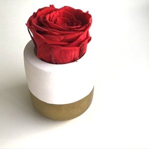 ❤️💕 Valentine - Forever Rose in White and Gold Concrete …